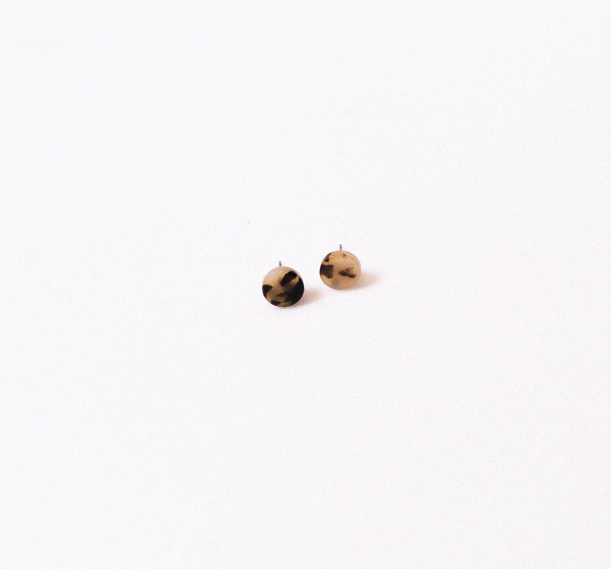 Blonde Tortoise Stud Earrings - Cooper Lucy