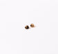 Blonde Tortoise Stud Earrings - Cooper Lucy