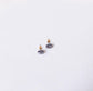 Gray Tortoise Stud Earrings - Cooper Lucy