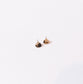 Blonde Tortoise Stud Earrings - Cooper Lucy